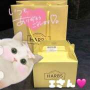 ヒメ日記 2026/04/11 20:45 投稿 りおん 極上サービス◎！！ ウエスト・コム