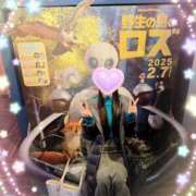 ヒメ日記 2025/02/26 18:09 投稿 ことみ Welcome Cafe(ウェルカムカフェ) 吉祥寺店