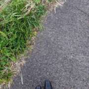 ヒメ日記 2025/10/21 20:41 投稿 ことみ Welcome Cafe(ウェルカムカフェ) 吉祥寺店