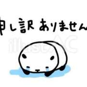 ヒメ日記 2026/01/09 14:21 投稿 ことみ Welcome Cafe(ウェルカムカフェ) 吉祥寺店