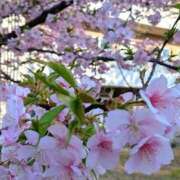 ヒメ日記 2026/02/24 19:01 投稿 ことみ Welcome Cafe(ウェルカムカフェ) 吉祥寺店