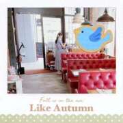 ヒメ日記 2026/04/27 18:08 投稿 ことみ Welcome Cafe(ウェルカムカフェ) 吉祥寺店