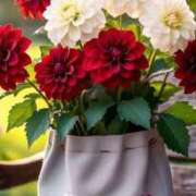 ヒメ日記 2025/10/29 20:13 投稿 音葉みき ミスターダンディー