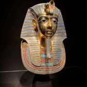 ヒメ日記 2025/11/04 15:03 投稿 音葉みき ミスターダンディー