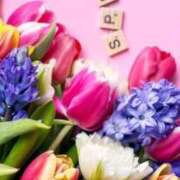 音葉みき お久しぶりです😊 ミスターダンディー