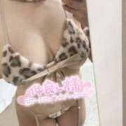 ヒメ日記 2026/02/19 18:44 投稿 あかね 池袋巨乳風俗戦隊ぱいおつレンジャー