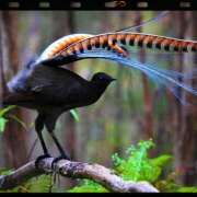 ヒメ日記 2025/03/04 19:18 投稿 美澄　はるか 魅惑の官能アロマエステ　Eureka！八王子 ～エウレカ！～