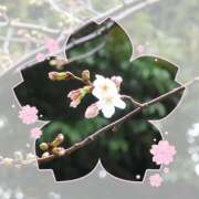 ヒメ日記 2025/04/04 15:09 投稿 美澄　はるか 魅惑の官能アロマエステ　Eureka！八王子 ～エウレカ！～