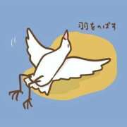 ヒメ日記 2025/05/01 14:55 投稿 美澄　はるか 魅惑の官能アロマエステ　Eureka！八王子 ～エウレカ！～