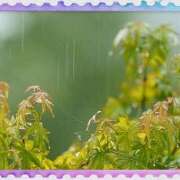 ヒメ日記 2025/05/02 14:51 投稿 美澄　はるか 魅惑の官能アロマエステ　Eureka！八王子 ～エウレカ！～