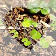 ヒメ日記 2025/05/03 14:48 投稿 美澄　はるか 魅惑の官能アロマエステ　Eureka！八王子 ～エウレカ！～