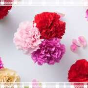 ヒメ日記 2025/05/04 14:36 投稿 美澄　はるか 魅惑の官能アロマエステ　Eureka！八王子 ～エウレカ！～