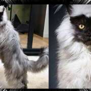 ヒメ日記 2025/05/20 21:32 投稿 美澄　はるか 魅惑の官能アロマエステ　Eureka！八王子 ～エウレカ！～