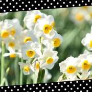 ヒメ日記 2025/05/21 19:46 投稿 美澄　はるか 魅惑の官能アロマエステ　Eureka！八王子 ～エウレカ！～