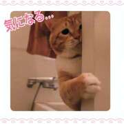 ヒメ日記 2025/05/28 01:41 投稿 美澄　はるか 魅惑の官能アロマエステ　Eureka！八王子 ～エウレカ！～