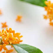 ヒメ日記 2025/06/01 14:09 投稿 美澄　はるか 魅惑の官能アロマエステ　Eureka！八王子 ～エウレカ！～