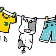 ヒメ日記 2025/06/18 14:56 投稿 美澄　はるか 魅惑の官能アロマエステ　Eureka！八王子 ～エウレカ！～