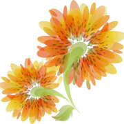 ヒメ日記 2025/06/20 14:56 投稿 美澄　はるか 魅惑の官能アロマエステ　Eureka！八王子 ～エウレカ！～