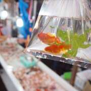 ヒメ日記 2025/07/17 00:03 投稿 美澄　はるか 魅惑の官能アロマエステ　Eureka！八王子 ～エウレカ！～