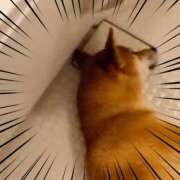 ヒメ日記 2025/08/30 14:50 投稿 美澄　はるか 魅惑の官能アロマエステ　Eureka！八王子 ～エウレカ！～