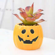 ヒメ日記 2025/09/18 21:33 投稿 美澄　はるか 魅惑の官能アロマエステ　Eureka！八王子 ～エウレカ！～