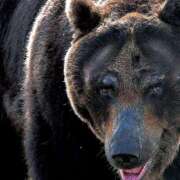 ヒメ日記 2025/11/04 18:12 投稿 美澄　はるか 魅惑の官能アロマエステ　Eureka！八王子 ～エウレカ！～