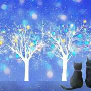 ヒメ日記 2025/12/10 18:11 投稿 美澄　はるか 魅惑の官能アロマエステ　Eureka！八王子 ～エウレカ！～