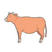 ヒメ日記 2025/12/14 01:15 投稿 美澄　はるか 魅惑の官能アロマエステ　Eureka！八王子 ～エウレカ！～