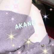 ヒメ日記 2025/03/19 15:01 投稿 あかね ミセス大阪十三店