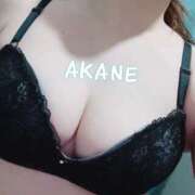 ヒメ日記 2025/03/19 15:30 投稿 あかね ミセス大阪十三店