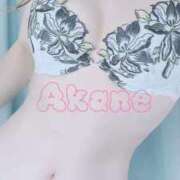 ヒメ日記 2025/03/22 08:45 投稿 あかね ミセス大阪十三店