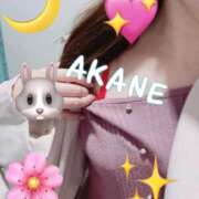 ヒメ日記 2025/03/22 13:04 投稿 あかね ミセス大阪十三店