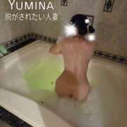 ヒメ日記 2025/05/02 23:44 投稿 ゆみな　ゴールド 脱がされたい人妻 町田・相模原店