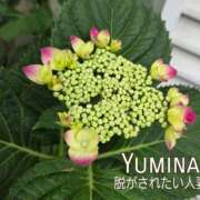 ヒメ日記 2025/05/25 16:27 投稿 ゆみな　ゴールド 脱がされたい人妻 町田・相模原店