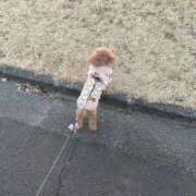 ヒメ日記 2026/02/24 14:28 投稿 みく 成田富里インターちゃんこ