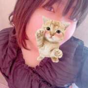 ヒメ日記 2026/03/11 11:58 投稿 みく 成田富里インターちゃんこ