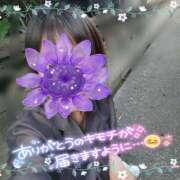 ヒメ日記 2025/05/20 17:28 投稿 ももか 奥鉄オクテツ東京店（デリヘル市場）