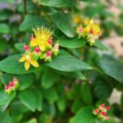 ヒメ日記 2025/05/20 17:55 投稿 ももか 奥鉄オクテツ東京店（デリヘル市場）