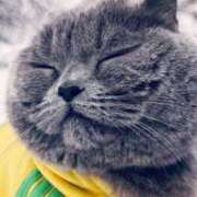 ヒメ日記 2025/06/03 07:26 投稿 ももか 奥鉄オクテツ東京店（デリヘル市場）