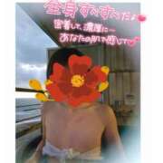 ヒメ日記 2025/11/14 17:40 投稿 ももか 奥鉄オクテツ東京店（デリヘル市場）