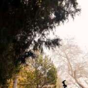 ヒメ日記 2025/11/20 13:46 投稿 ももか 奥鉄オクテツ東京店（デリヘル市場）