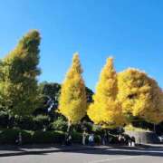 ももか ２５日ディーン・フジオカ似のTさんへ 奥鉄オクテツ東京店（デリヘル市場）