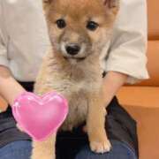 ヒメ日記 2025/12/27 18:26 投稿 ももか 奥鉄オクテツ東京店（デリヘル市場）