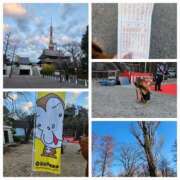 ヒメ日記 2026/01/01 19:48 投稿 ももか 奥鉄オクテツ東京店（デリヘル市場）