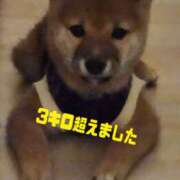 ヒメ日記 2026/02/01 21:02 投稿 ももか 奥鉄オクテツ東京店（デリヘル市場）