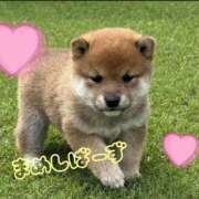 ヒメ日記 2026/02/10 22:29 投稿 ももか 奥鉄オクテツ東京店（デリヘル市場）