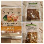 ヒメ日記 2026/02/14 19:29 投稿 ももか 奥鉄オクテツ東京店（デリヘル市場）