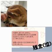 ヒメ日記 2026/03/10 11:24 投稿 ももか 奥鉄オクテツ東京店（デリヘル市場）