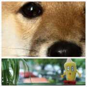 ヒメ日記 2026/03/12 14:10 投稿 ももか 奥鉄オクテツ東京店（デリヘル市場）