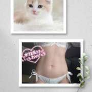 ヒメ日記 2026/04/13 18:08 投稿 ももか 奥鉄オクテツ東京店（デリヘル市場）